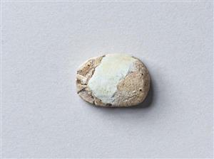 Scarab Hyksos 
 Photographer:Meidad Suchowolski