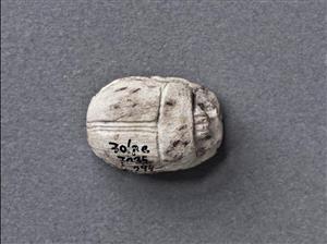 Scarab Hyksos 
 Photographer:Meidad Suchowolski