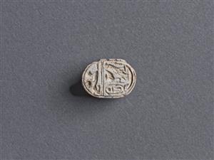 Scarab
Photographer:Meidad Suchowolski