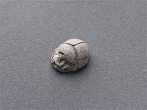 Scarab
Photographer:Meidad Suchowolski