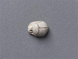 Scarab
Photographer:Meidad Suchowolski