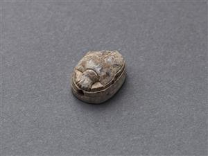 Scarab
Photographer:Meidad Suchowolski