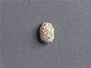 Scarab
Photographer:Meidad Suchowolski