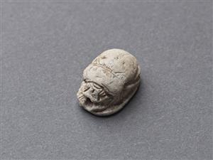Scarab
Photographer:Meidad Suchowolski