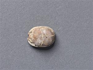 Scarab
Photographer:Meidad Suchowolski