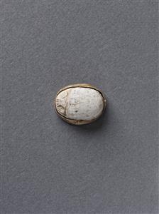 Scarab
Photographer:Meidad Suchowolski