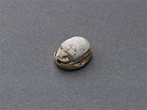 Scarab
Photographer:Meidad Suchowolski