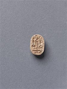Scarab
Photographer:Meidad Suchowolski
