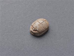 Scarab
Photographer:Meidad Suchowolski