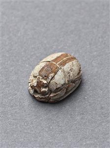 Scarab
Photographer:Meidad Suchowolski