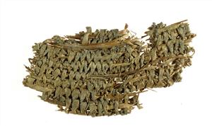 Base Basket   
 Photographer:Clara Amit