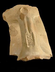 Handle Amphora Impressed with Stamp Seal  
 Photographer:UNKNOWN PERSON