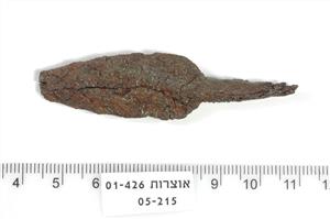 Arrowhead
Photographer:Yolovitch Yael