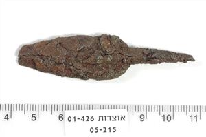 Arrowhead
Photographer:Yolovitch Yael