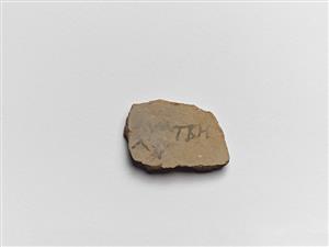 Ostracon Greek
Photographer:Meidad Suchowolski