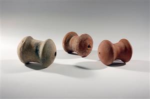 Rattle  
 Photographer:Yolovitch Yael