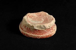 Fragment Bowl Inscribed
Photographer:Yolovitch Yael