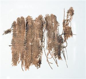Fragment Textile   
 Photographer:Clara Amit