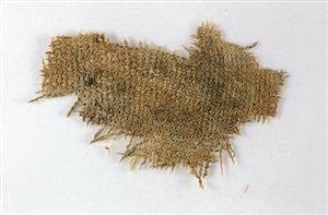 Fragment Textile   
 Photographer:Clara Amit
