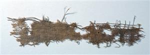 Fragment Textile
Photographer:Clara Amit