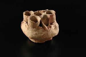 Seven-Cupped Bowl
Photographer:Yolovitch Yael