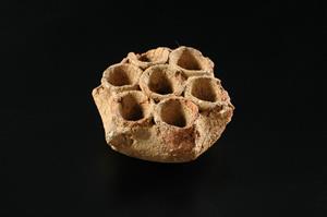 Seven-Cupped Bowl
Photographer:Yolovitch Yael