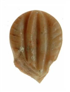 Fragment Stamp Engraved  
