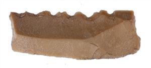 Sickle Blade Yarmukian