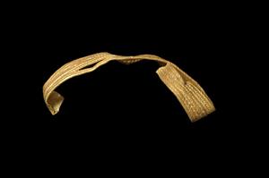 Fragment Band (use unknown)
Photographer:Yolovitch Yael