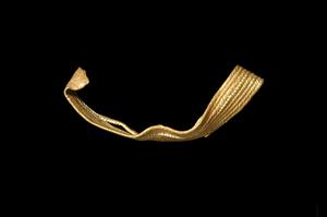 Fragment Band (use unknown)
Photographer:Yolovitch Yael