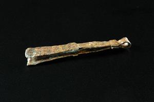 Tongs Engraved
Photographer:Yolovitch Yael