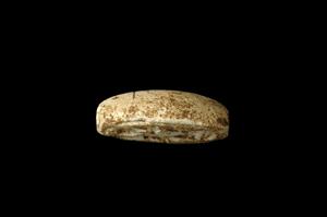 חותם טביעה (Stamp Seal)
צלם:יולוביץ יעל
