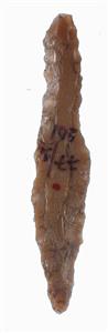 Borer  