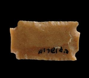 Fragment Alternately-Retouched Bladelet   
 Photographer:Yolovitch Yael
