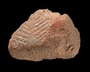 Fragment Stamp Seal Engraved  
 Photographer:Yolovitch Yael