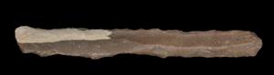 Borer  