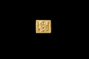 Plaque Seal Bifacial
Photographer:Yolovitch Yael