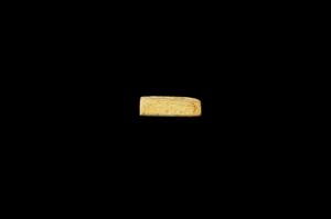 Plaque Seal Bifacial
Photographer:Yolovitch Yael