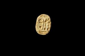 Scarab
Photographer:Yolovitch Yael