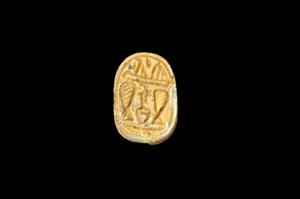 Scarab
Photographer:Yolovitch Yael