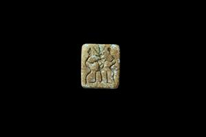 Plaque Seal Bifacial
Photographer:Yolovitch Yael