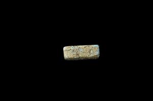 Plaque Seal Bifacial
Photographer:Yolovitch Yael