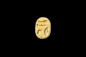 Scarab
Photographer:Yolovitch Yael