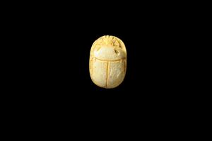 Scarab
Photographer:Yolovitch Yael
