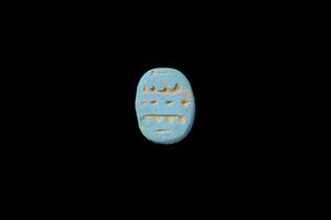 Scarab  
 Photographer:Yolovitch Yael