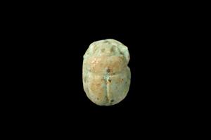 Scarab
Photographer:Yolovitch Yael