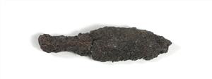 Arrowhead
Photographer:Yolovitch Yael