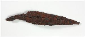 Arrowhead  
 Photographer:Yolovitch Yael