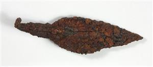 Arrowhead
Photographer:Yolovitch Yael