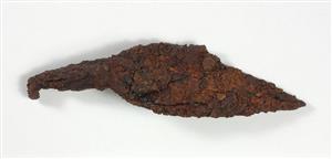 Arrowhead  
 Photographer:Yolovitch Yael